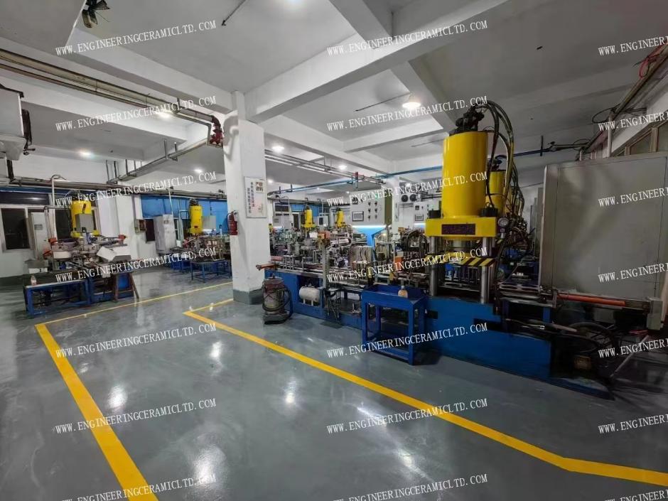 Vier het Jaar van het Paard!